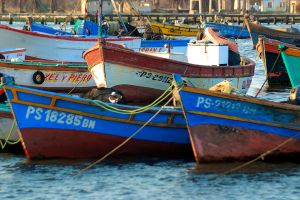 DSC_1514-1.jpg
