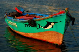 DSC_1518-1.jpg