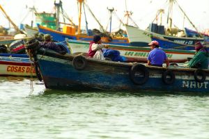 img039-1.jpg