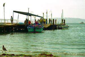img040-1.jpg