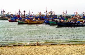 img042-1.jpg