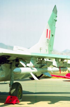 img021-1.jpg