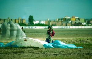img095-1.jpg
