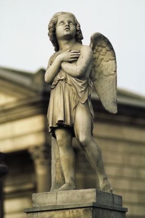 img555-1.jpg