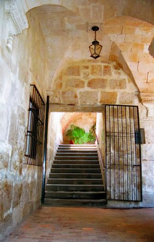 img011-1.jpg