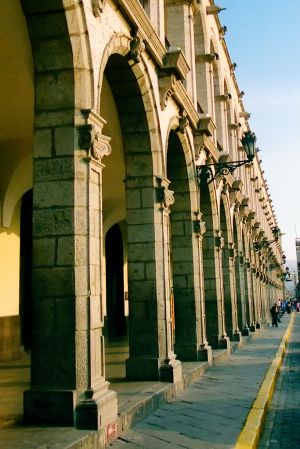 img111-1.jpg