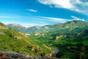 img116-1.jpg