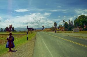 img654-2.jpg