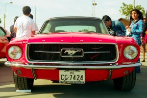 img063-1.jpg