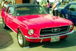 img078-1.jpg