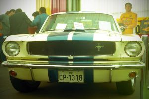 img152-1.jpg