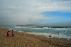 DSC_0051-1.jpg