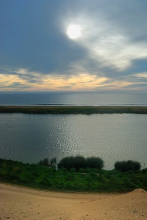 DSC_0154-1.jpg