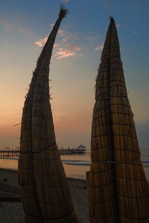 DSC_0398-1.jpg