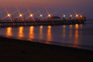 DSC_0406-1.jpg
