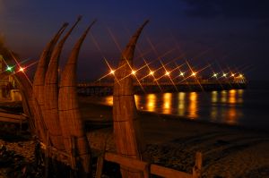 DSC_0411-1.jpg