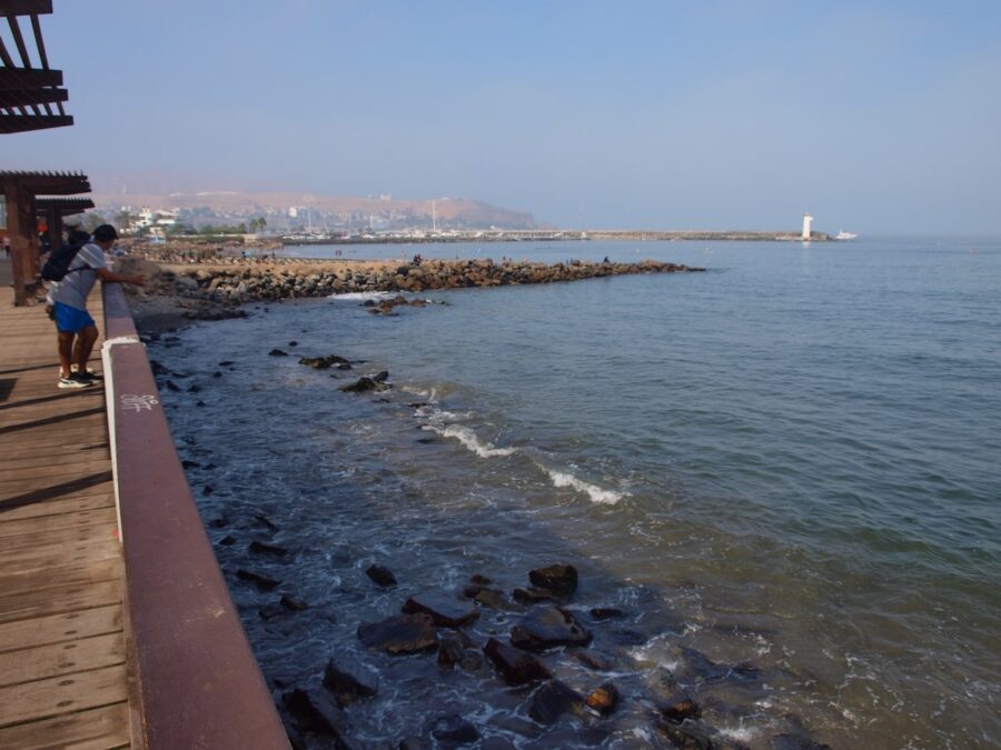 Un Mañana Nublada con Rayos de Sol: Fotografías Capturadas con la Olympus E-520